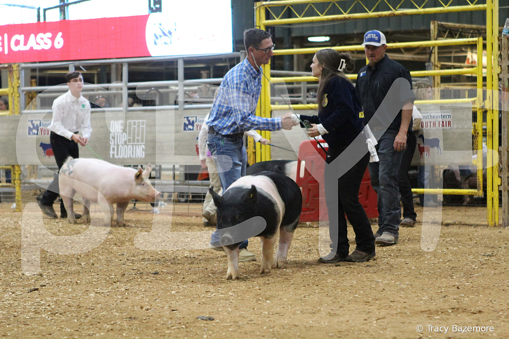 swine0512