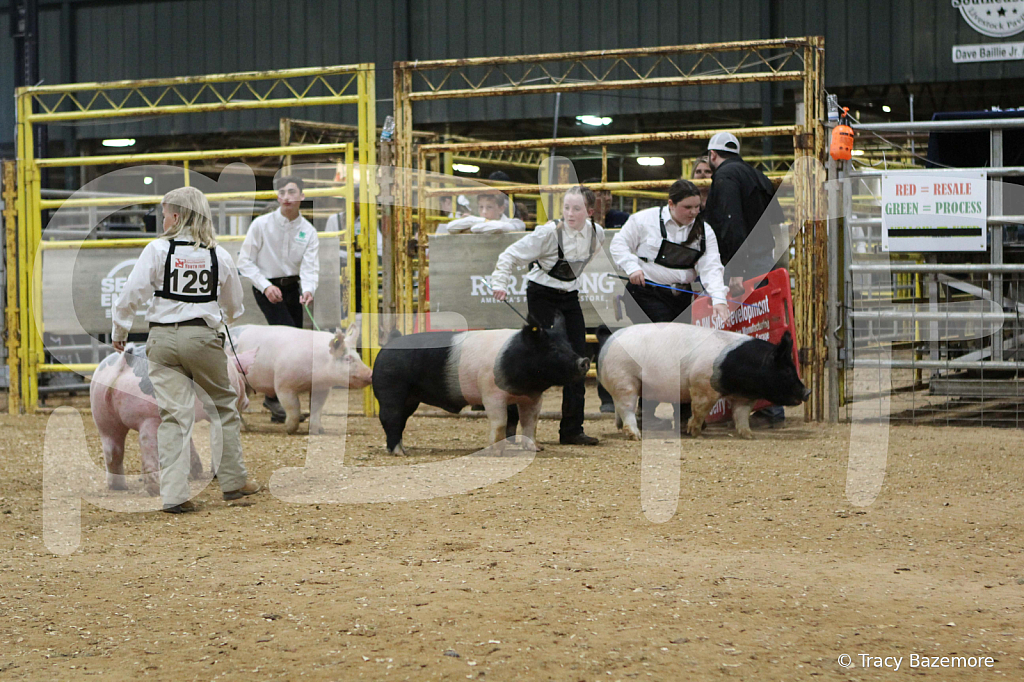 swine0516