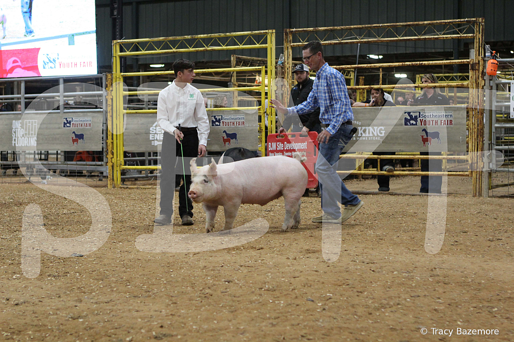 swine0517