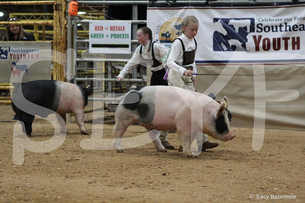 swine0520