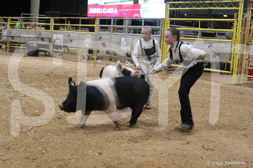swine0523