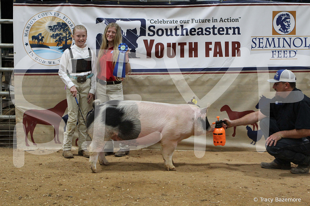 swine0525