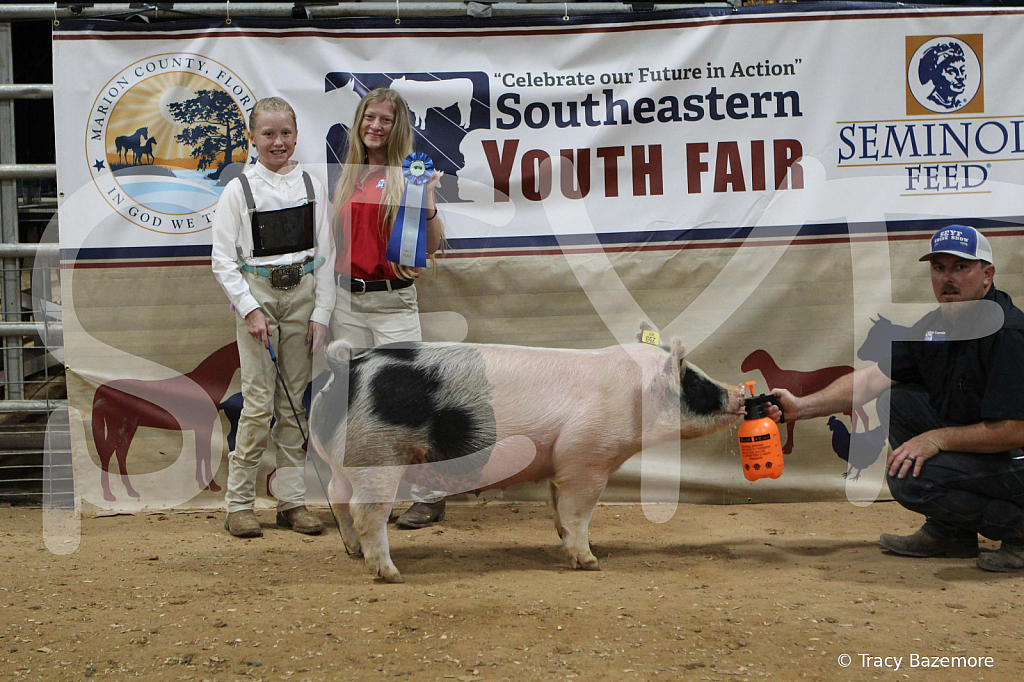 swine0528