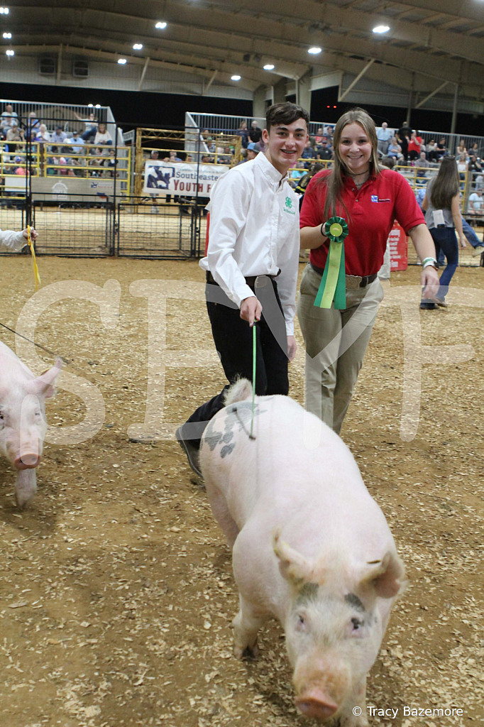 swine0534