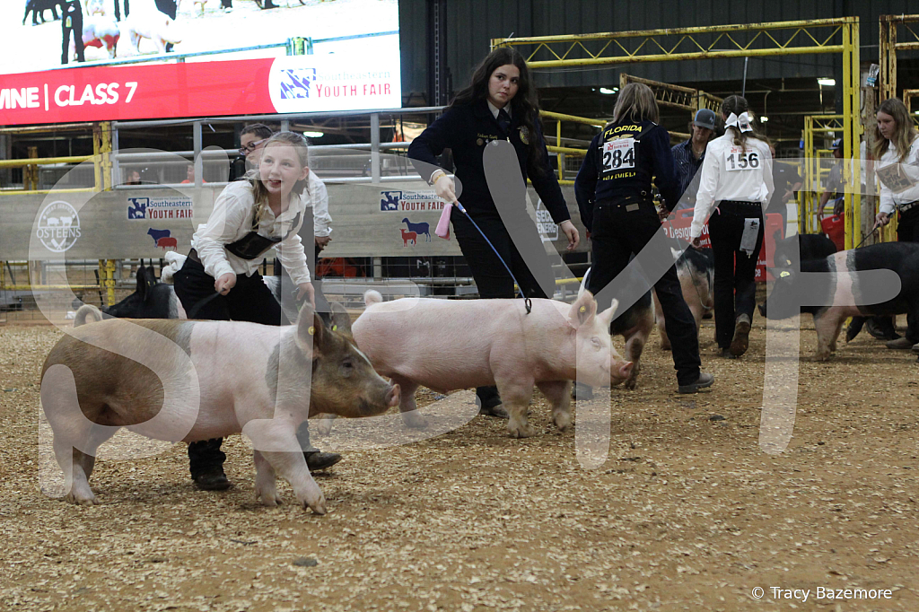 swine0544