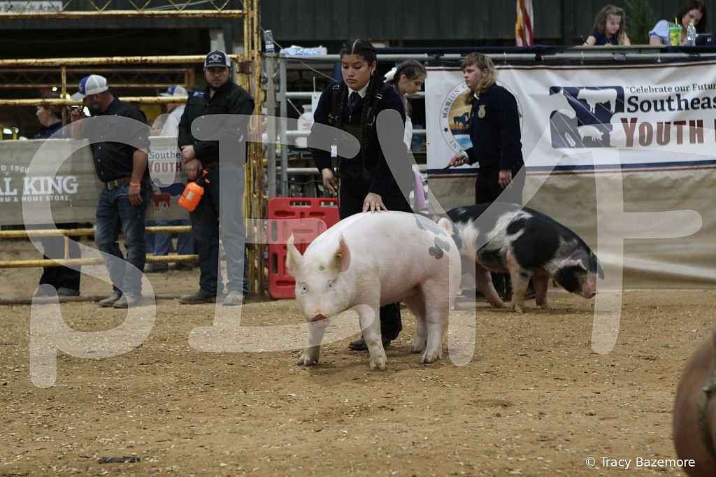 swine0546