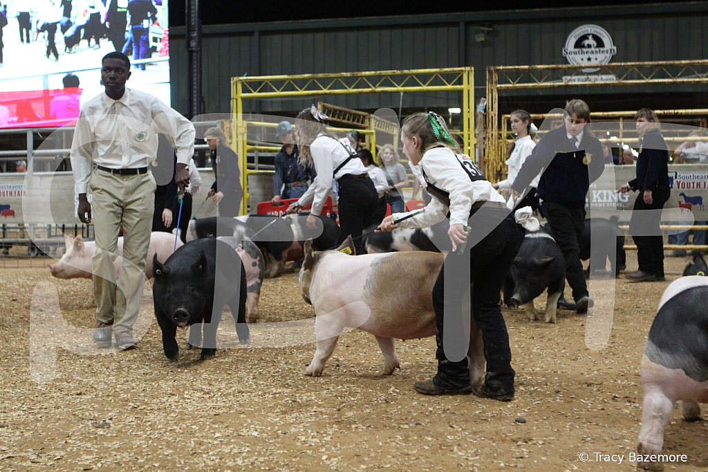 swine0547