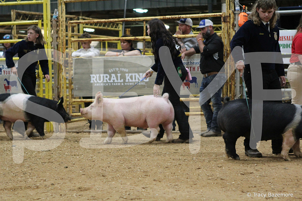 swine0549
