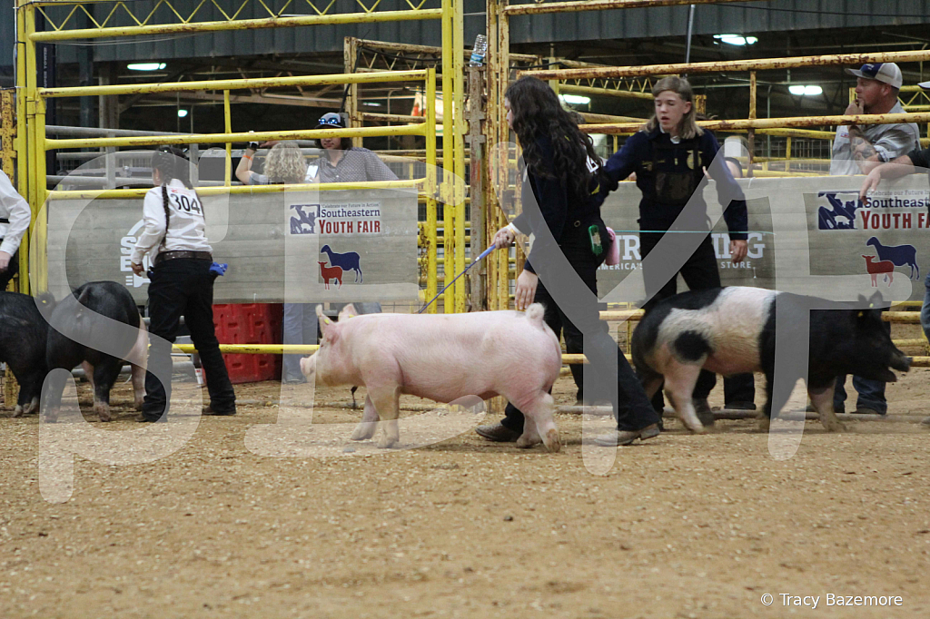 swine0550
