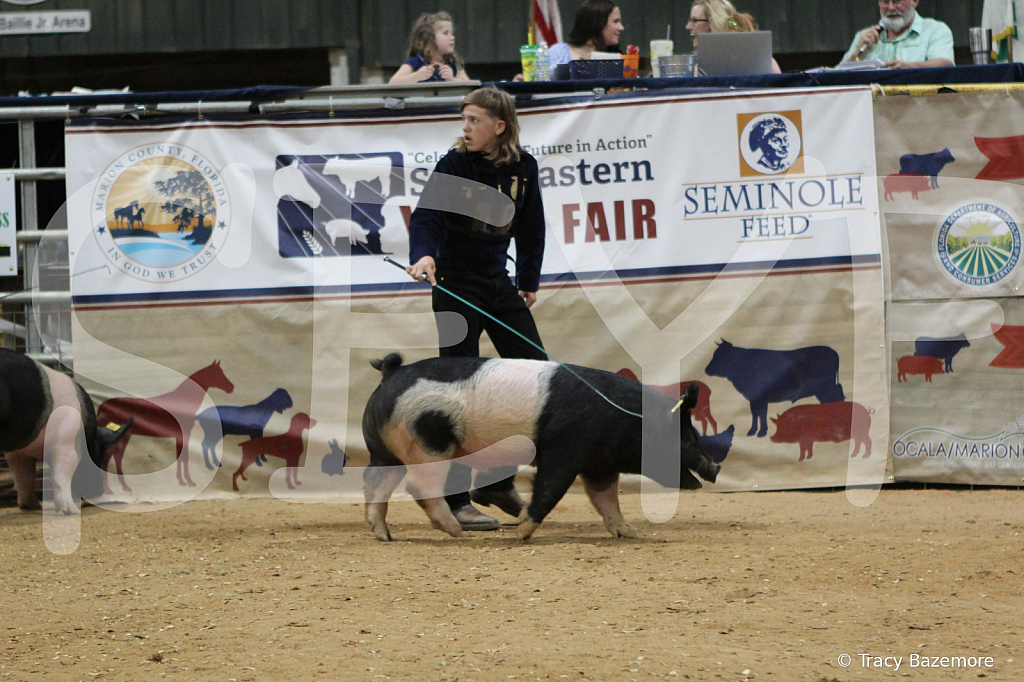 swine0553