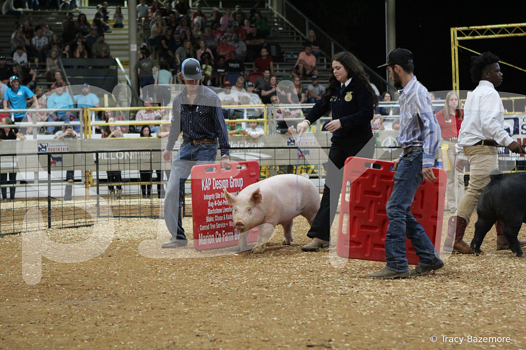 swine0554
