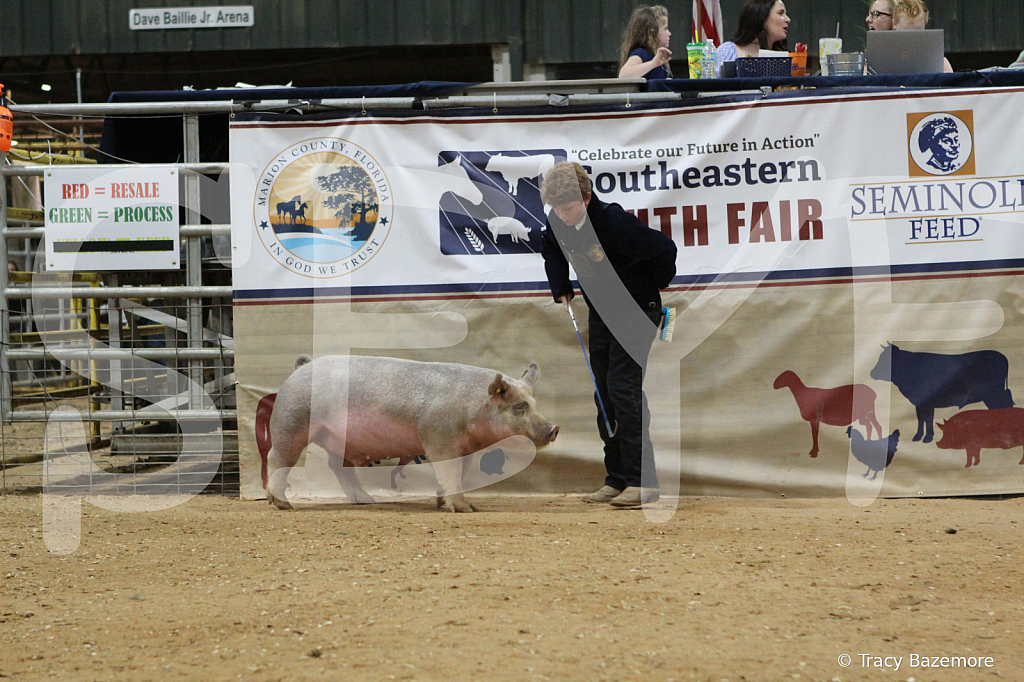 swine0555