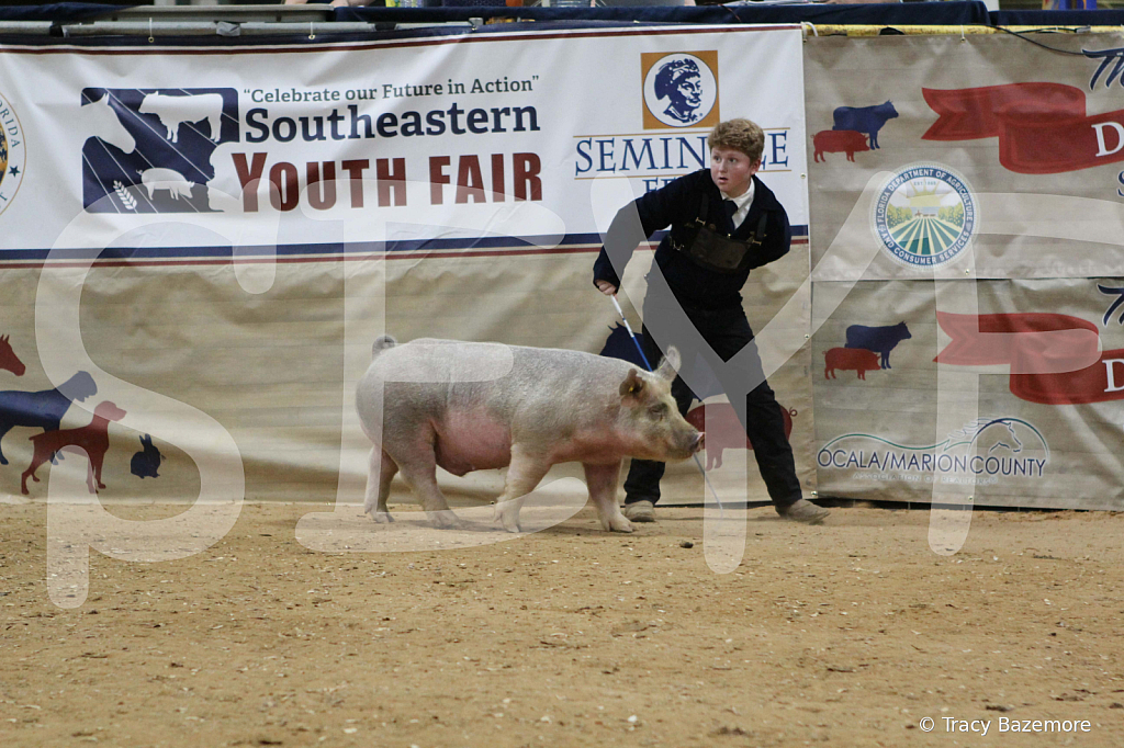 swine0557