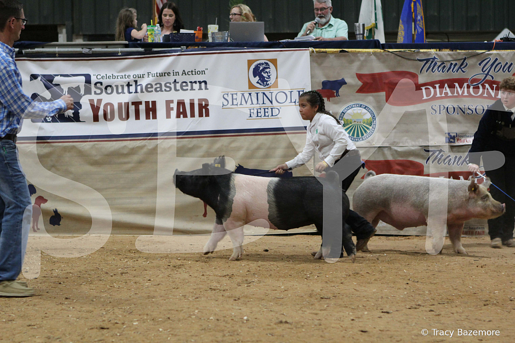swine0558