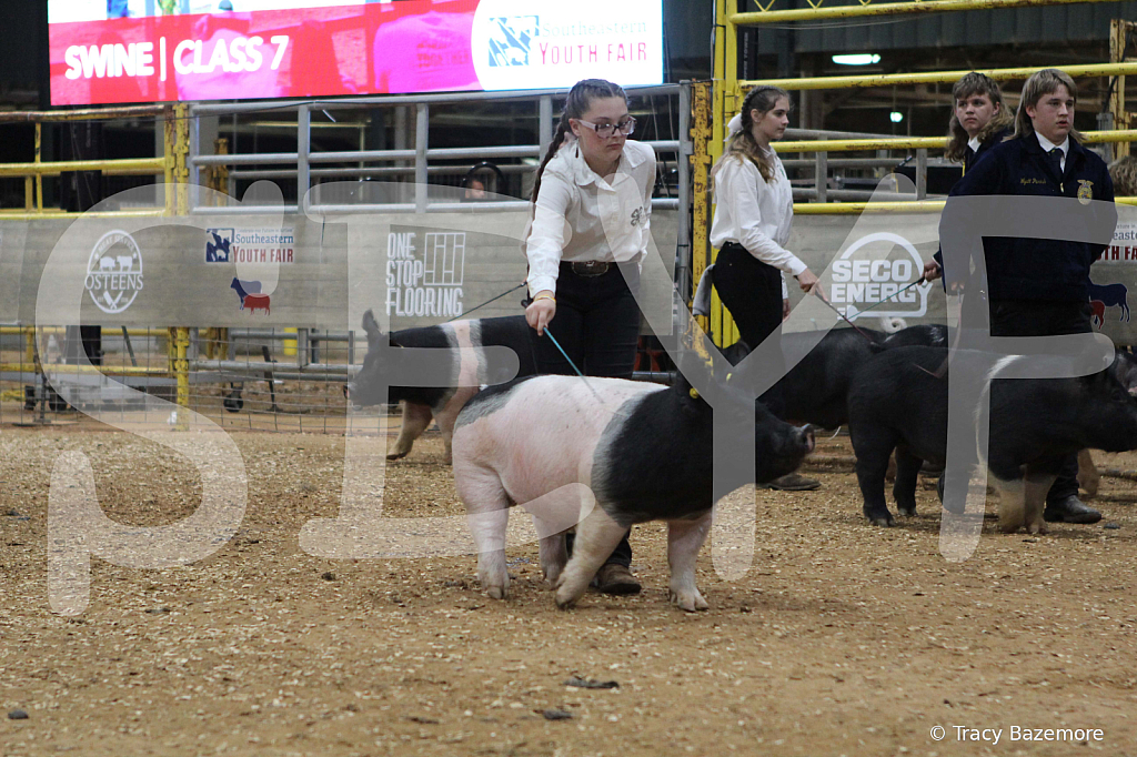 swine0560