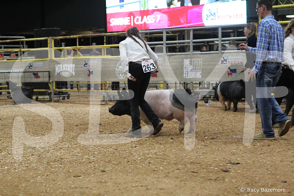 swine0561