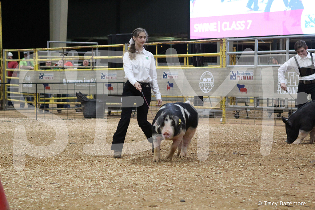 swine0564