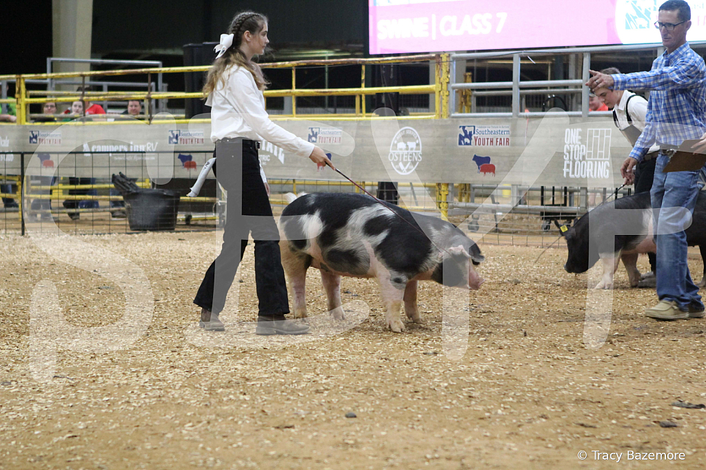 swine0565