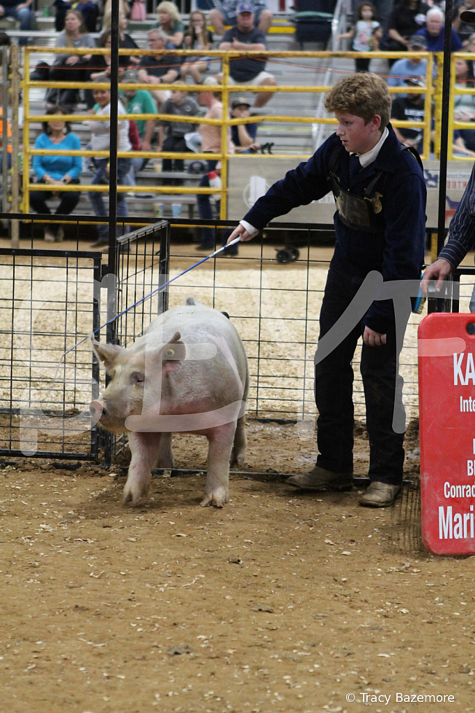 swine0568