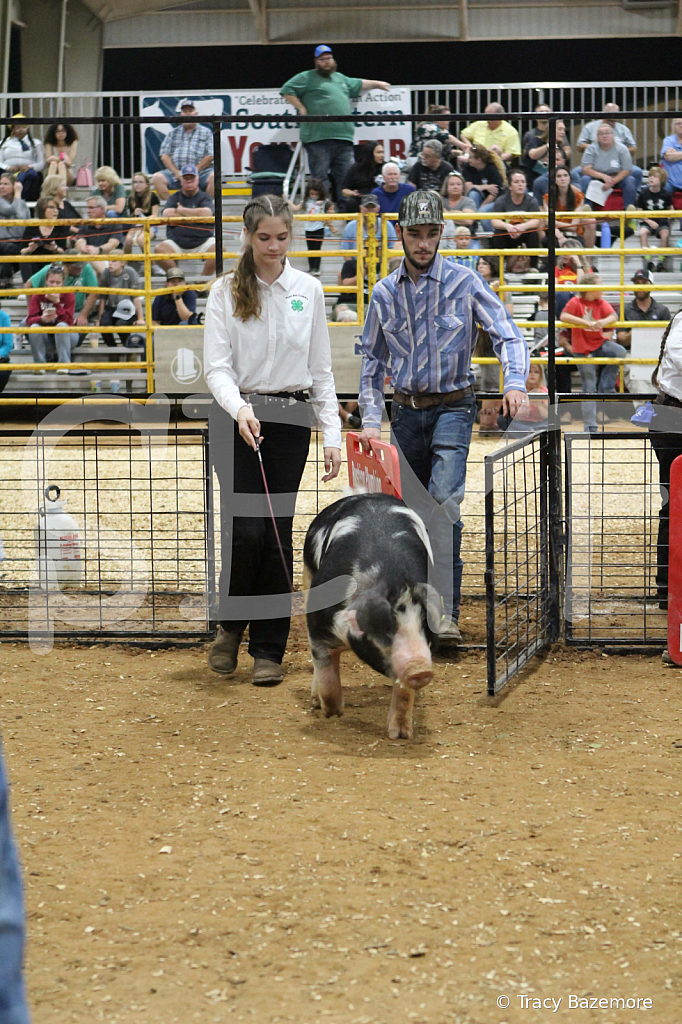 swine0571
