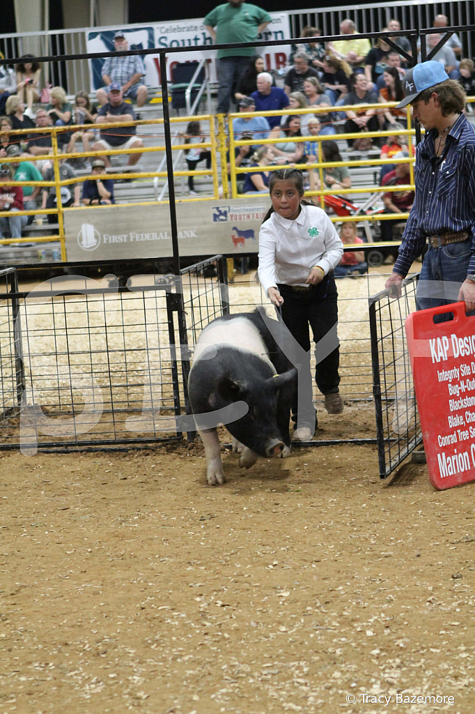 swine0573