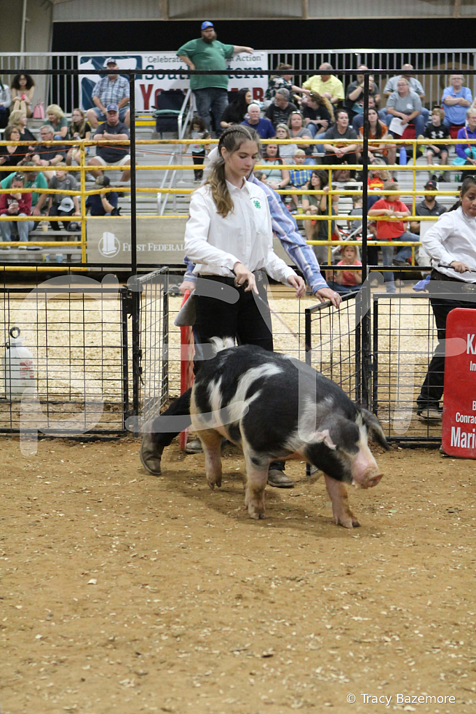 swine0572