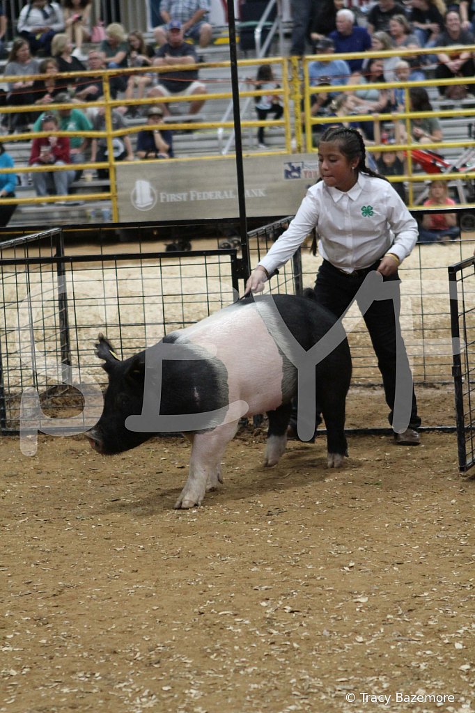 swine0574