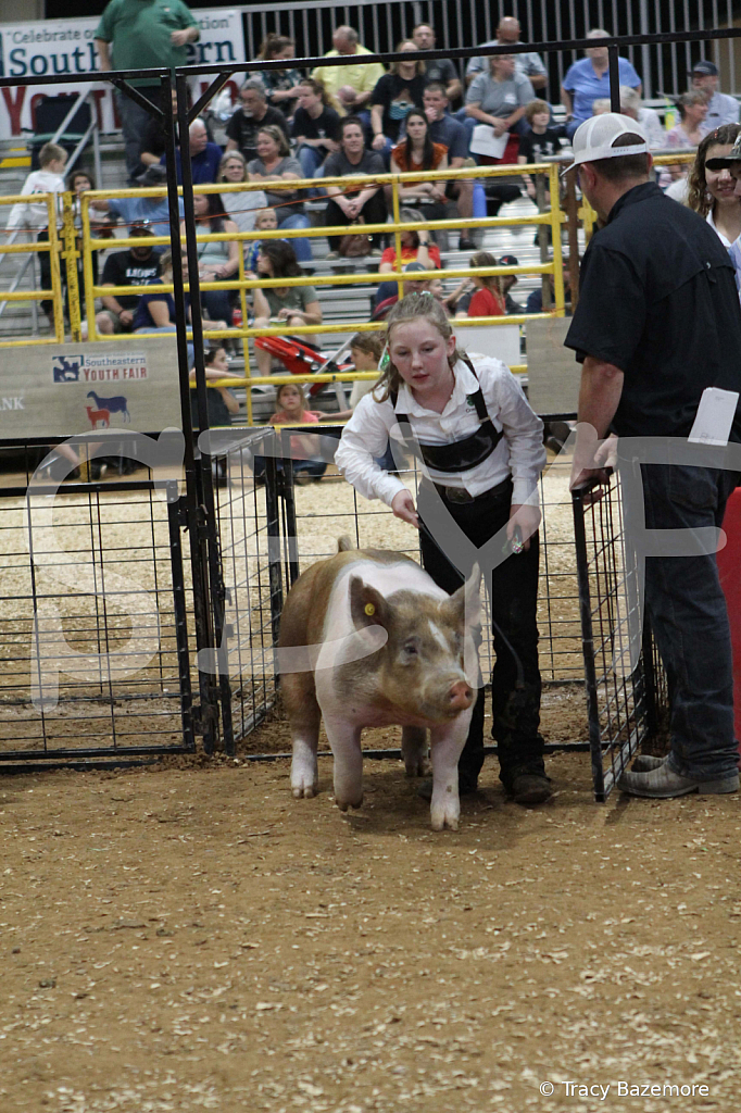 swine0575