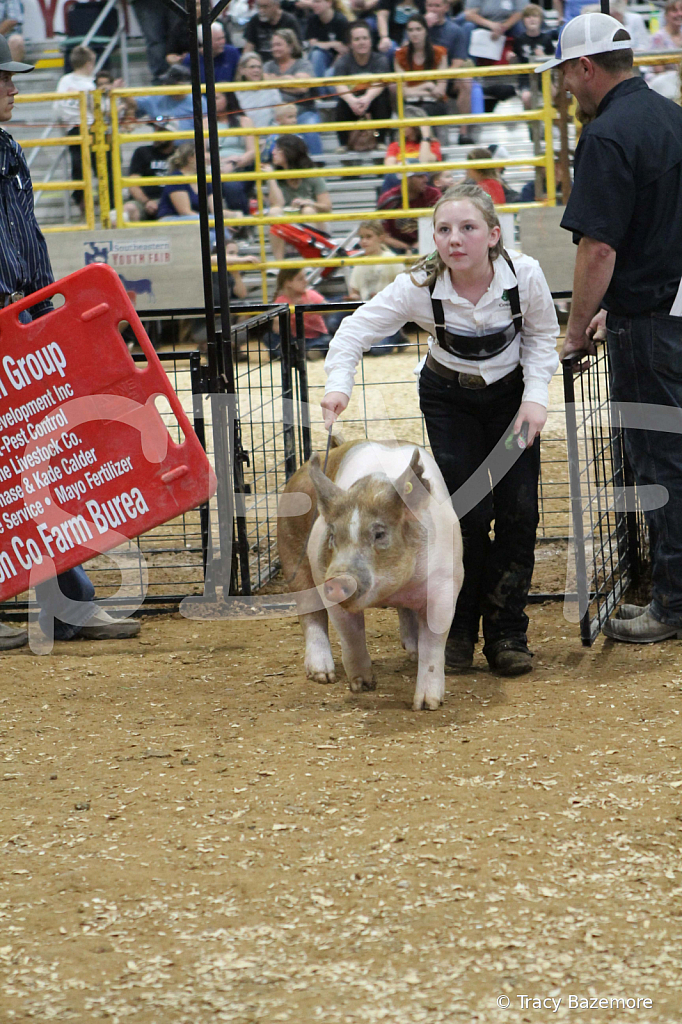 swine0576