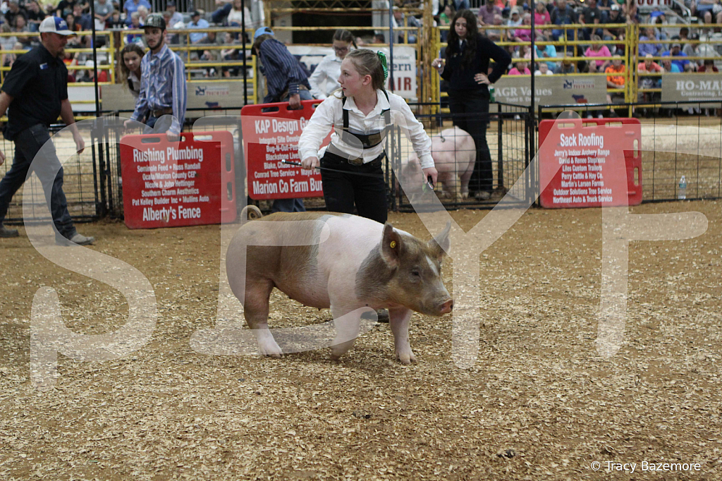 swine0577