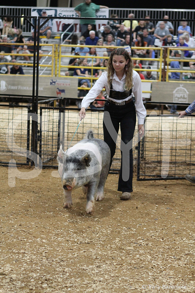 swine0579