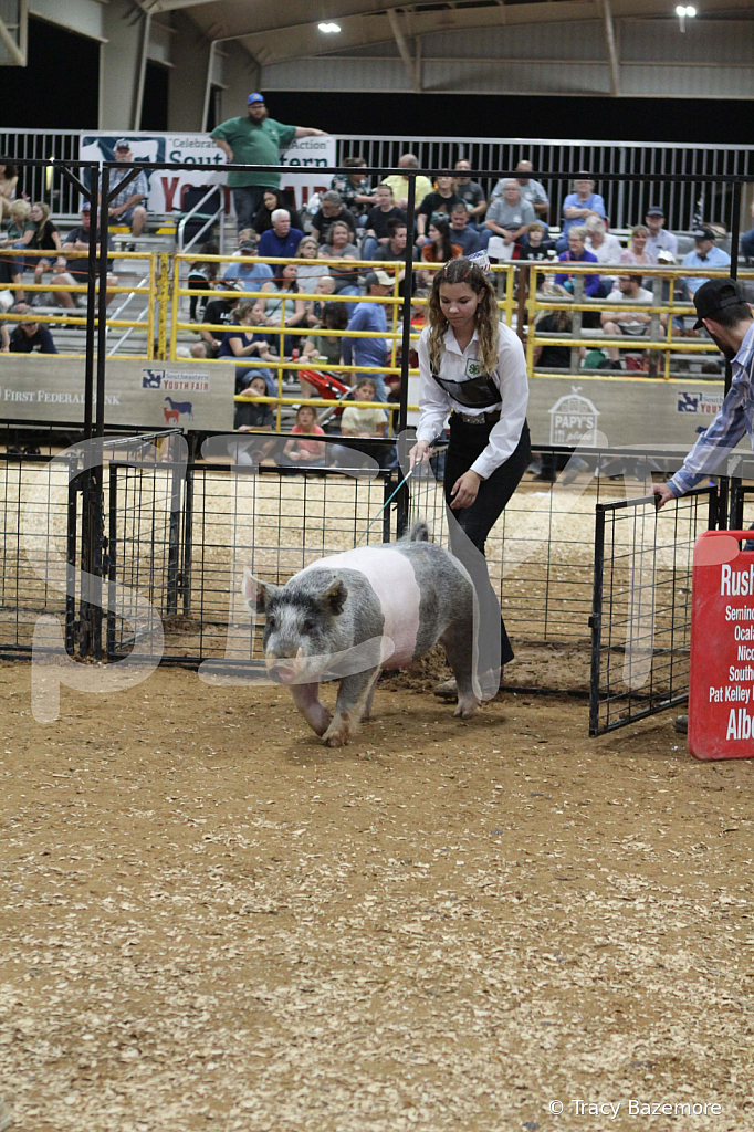 swine0578