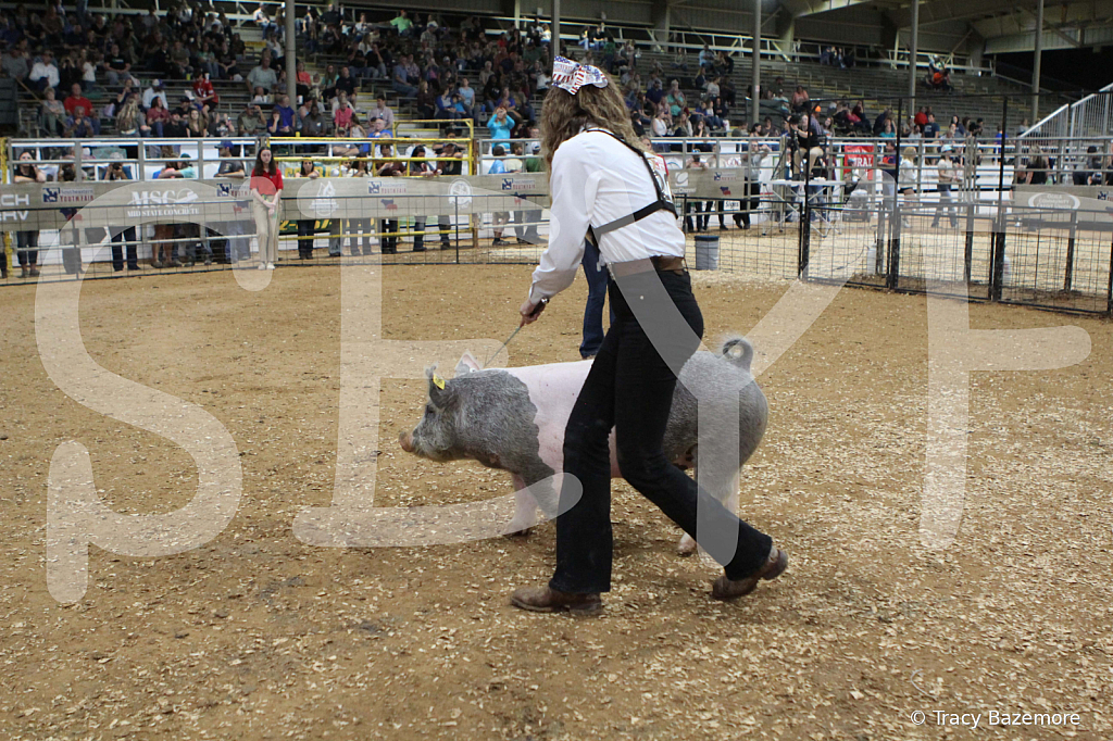 swine0580