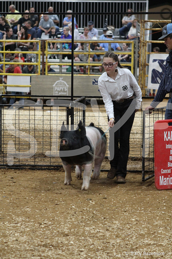 swine0581