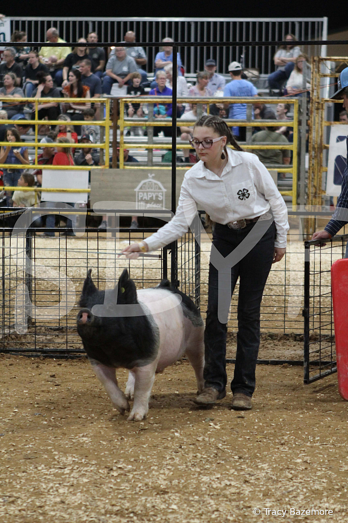 swine0582