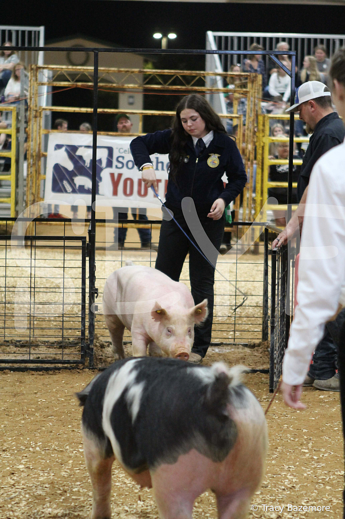swine0584