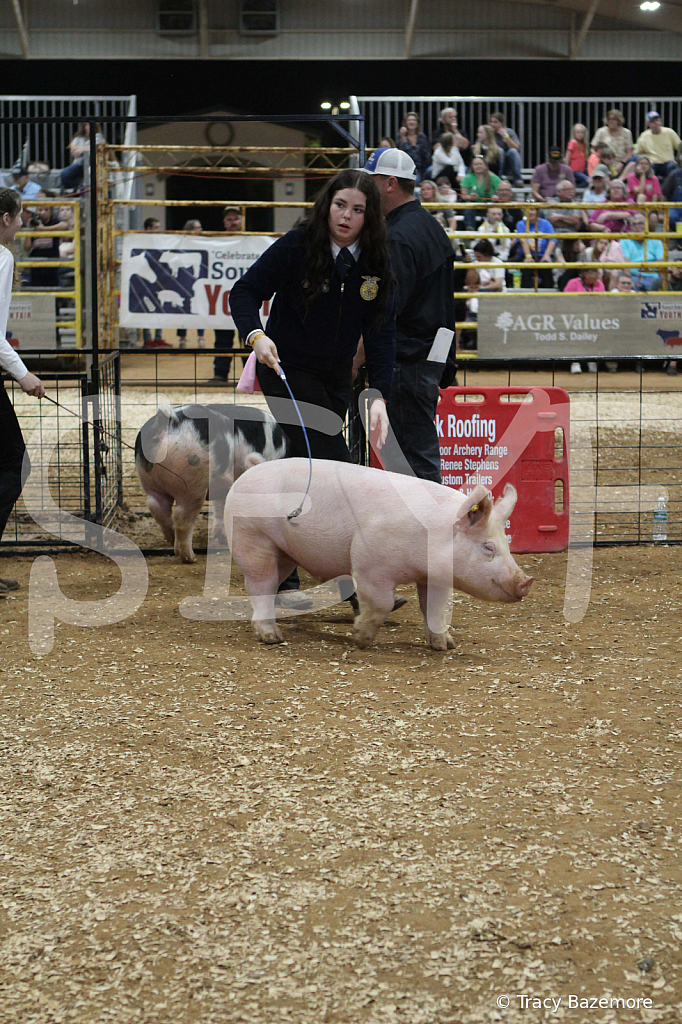 swine0585