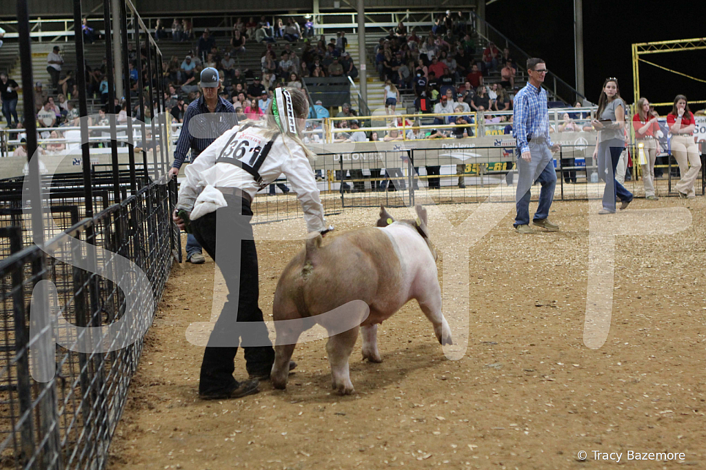 swine0587