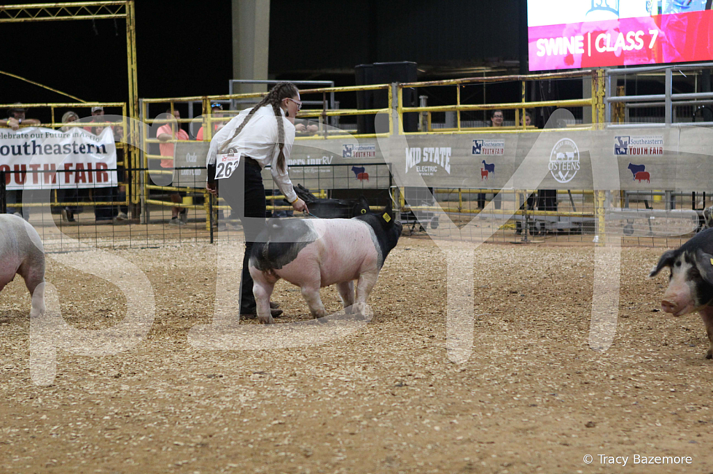 swine0588
