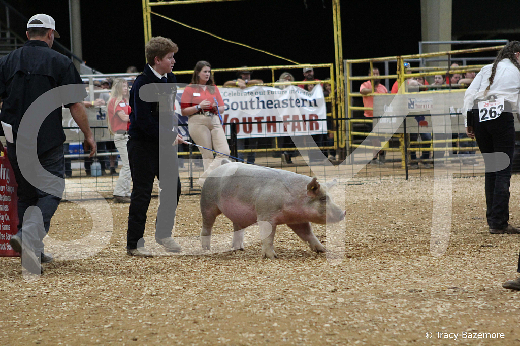swine0589