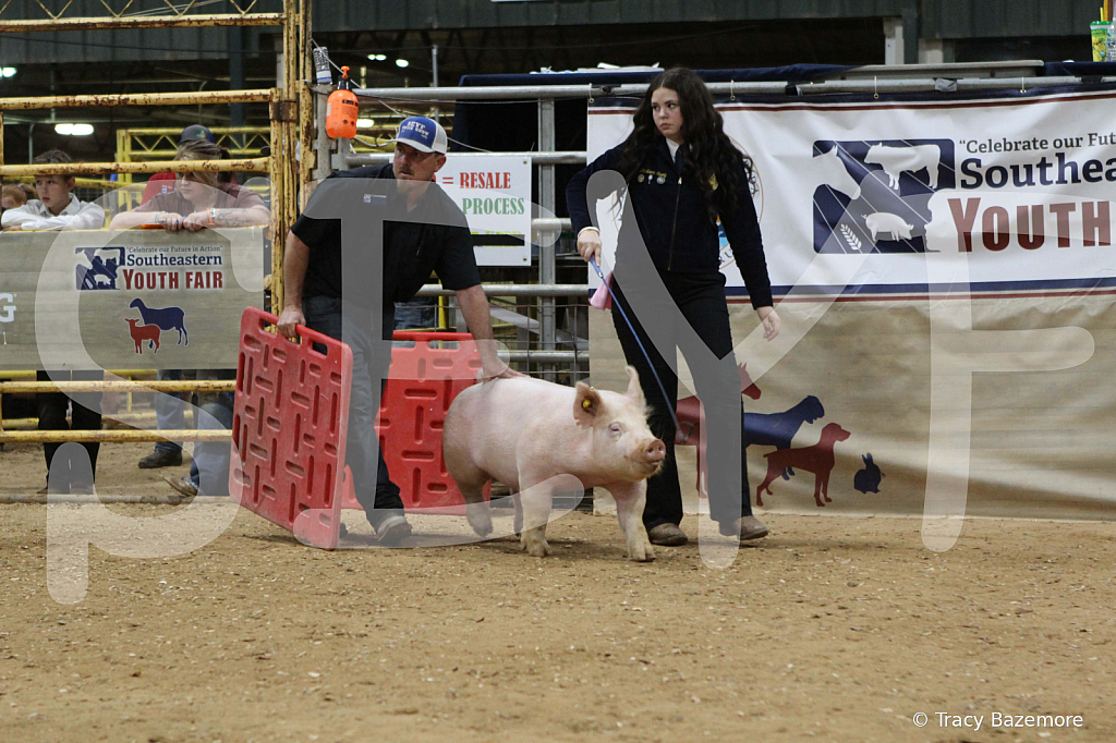 swine0591