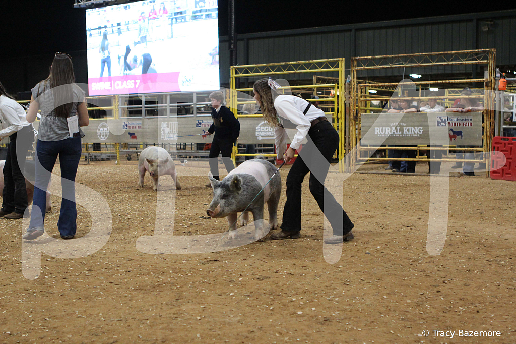 swine0592