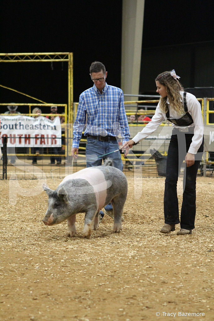 swine0595