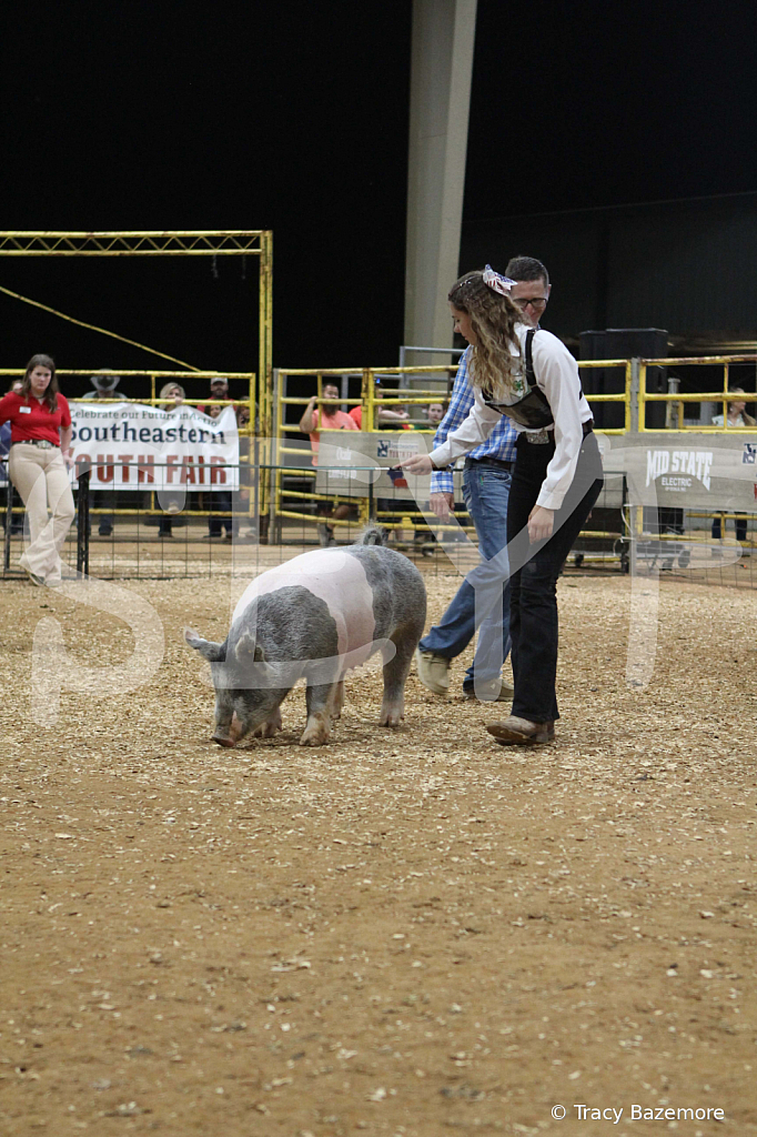 swine0596