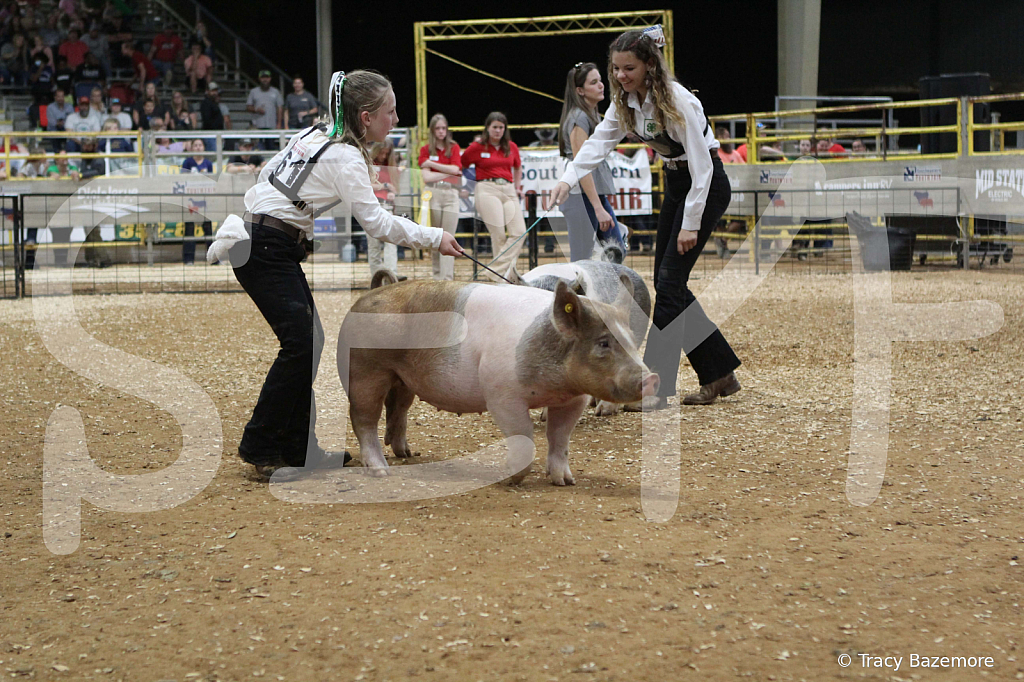 swine0597