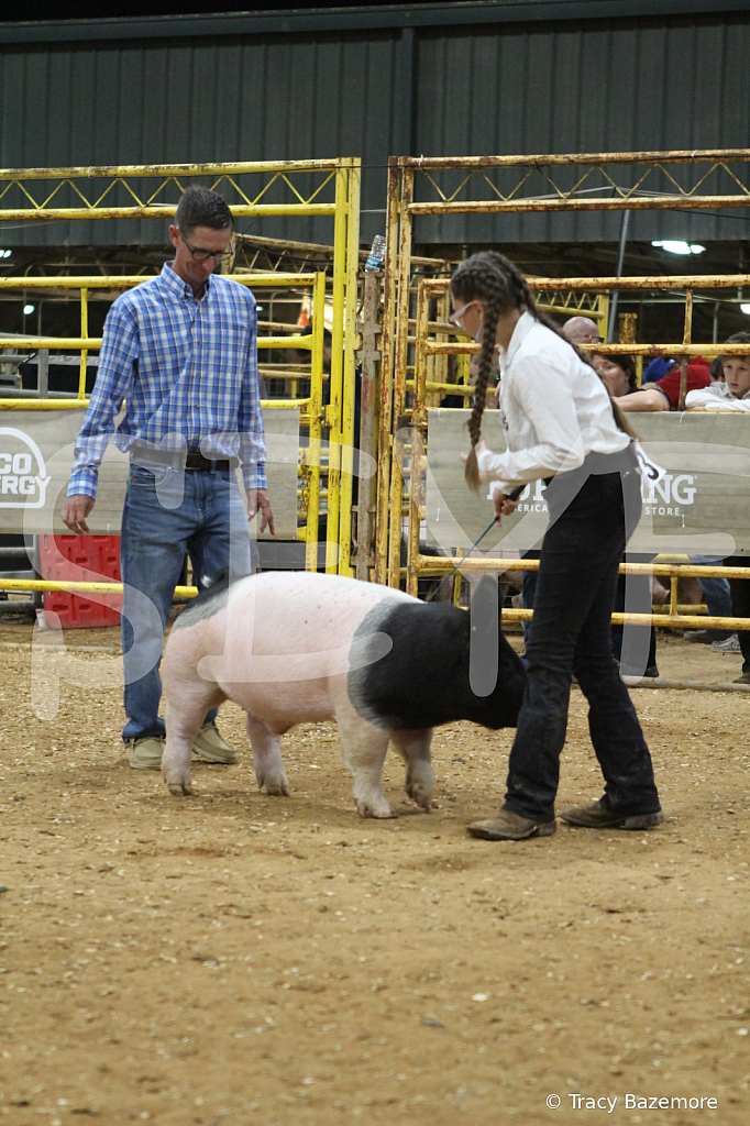 swine0598