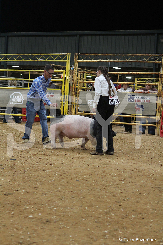 swine0599