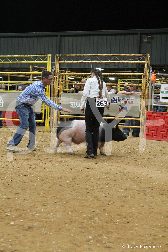 swine0600