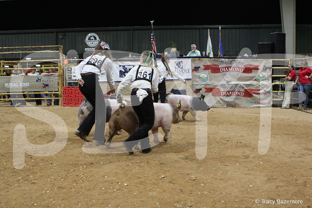 swine0601