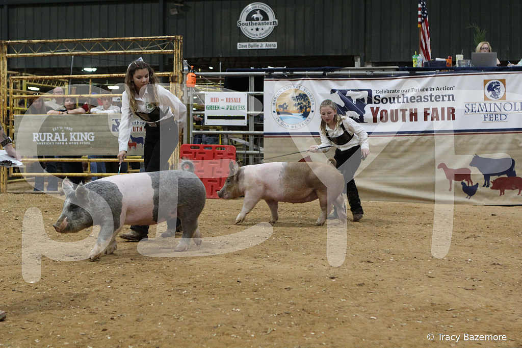 swine0603